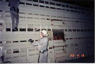 New York State Troopers inspect double deck trailer carrying horses illegally.