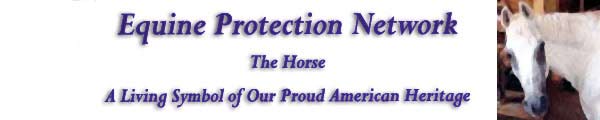 Equine Protection Network Horse Slaughter Awareness Campaign