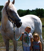 Horses and children